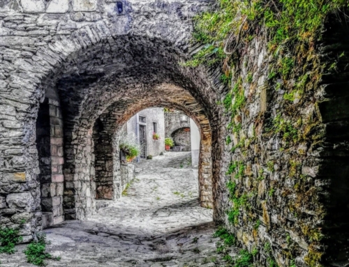 Passeggiamo con Daniella