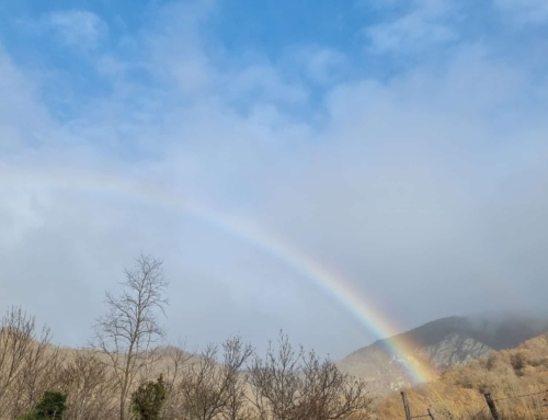 Buonanotte da Daniella