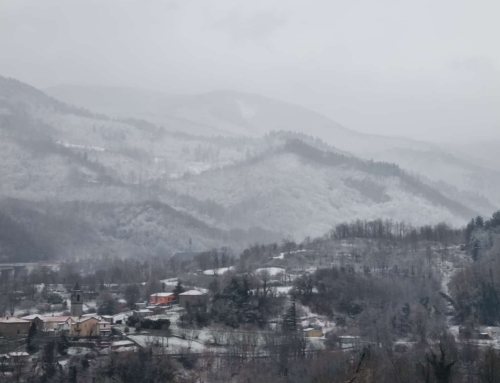 Piccolo paese innevato