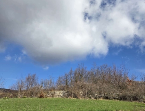 Il sentiero dei miei genitori